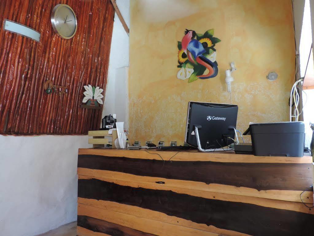 Golden Paradise Town Hotel Isla Holbox Exterior photo